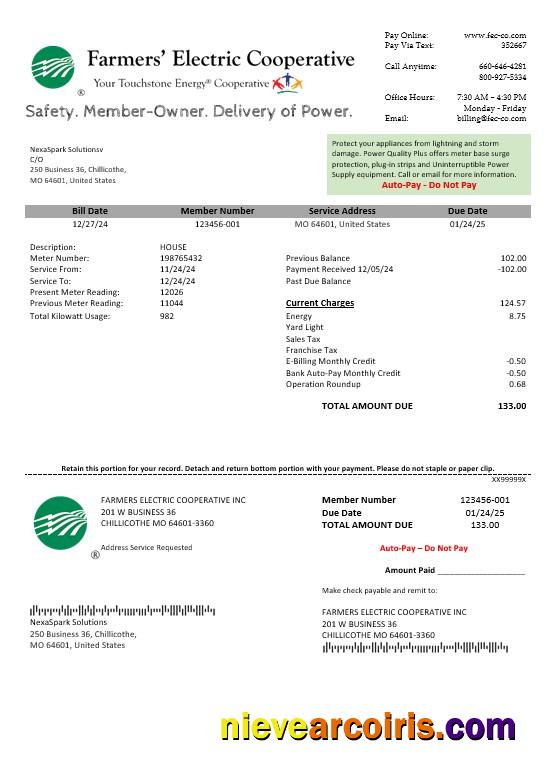 Realistic USA Ohio Farmer’s Electric Cooperative Business Utility Bill Template In Word An PDF Formats