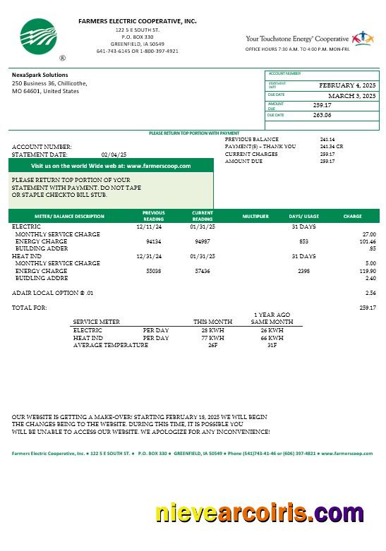 Premium USA Ohio Farmers Electric Cooperative Business Utility Bill Template In Word And PDF Formats, Version 2