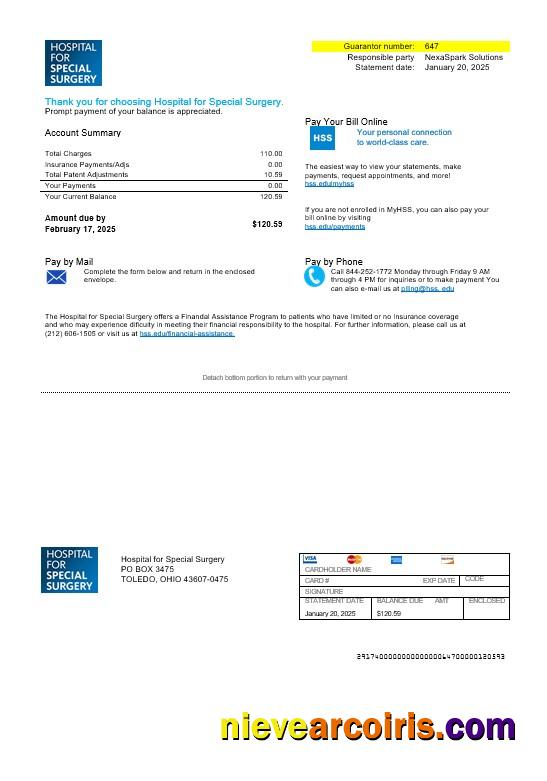 Professional USA Ohio Hospital For Special Surgery Business Utility Bill Template In Word And PDF Formats