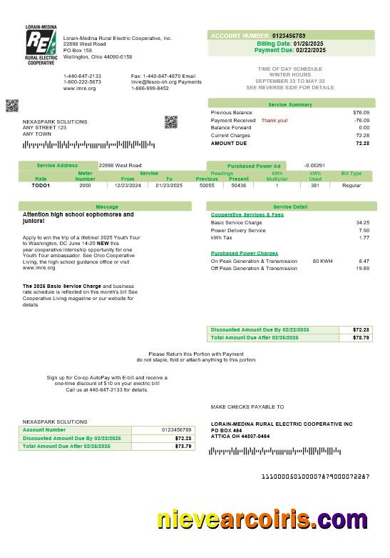 Professional USA Ohio Lorain Medina Rural Electric Business Utility Bill Template In Word And PDF Formats