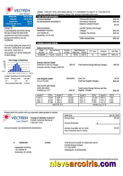 Realistic USA Ohio Vectren Energy Business Utility Bill Template In Word And PDF Formats
