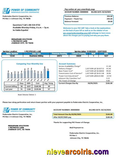 USA Texas Power Of Community Electricity Business Utility Bill In Word And PDF Formats, Good For Address Prove Sample