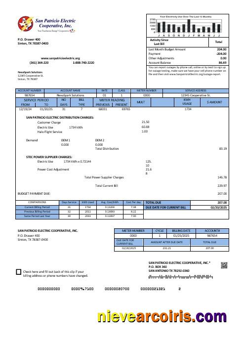 Professional USA Texas San Patricio Electric Corporative Business Utility Bill Template In Word And PDF Formats