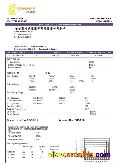 Premium USA Texas Summer Energy Easy Fillable Business Utility Bill Template In Word And PDF Formats