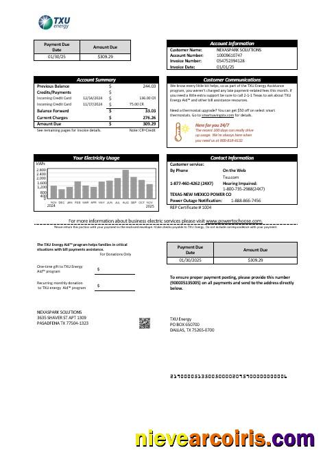 Realistic USA Texas TXU Energy Business Utility Bill Template In Word And PDF Formats