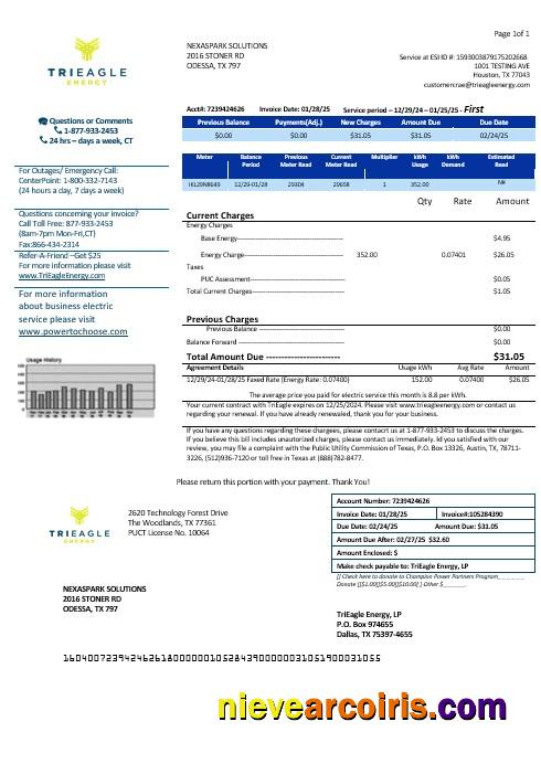 Professional USA Texas TriEagle Business Utility Bill Template In Word And PDF Formats