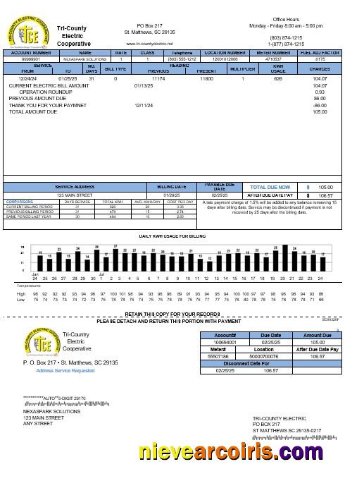 Editable USA Tri County Electric Cooperative Business Utility Bill Template In Word And PDF Formats