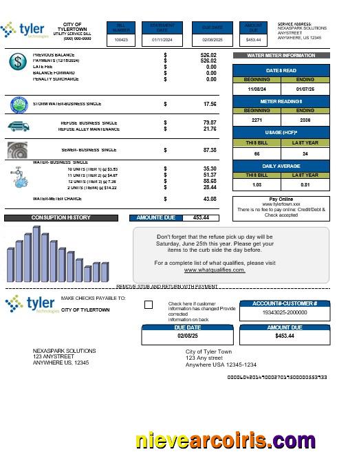 Realistic USA Tyler Technologies Business Utility Bill Template In Word And PDF Formats