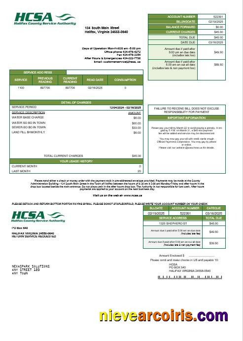 Premium USA Virginia HCSA Business Utility Bill Template In Word And PDF Formats