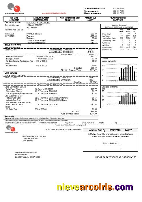 Realistic USA WPS Business Utility Bill Template In Word And PDF Formats