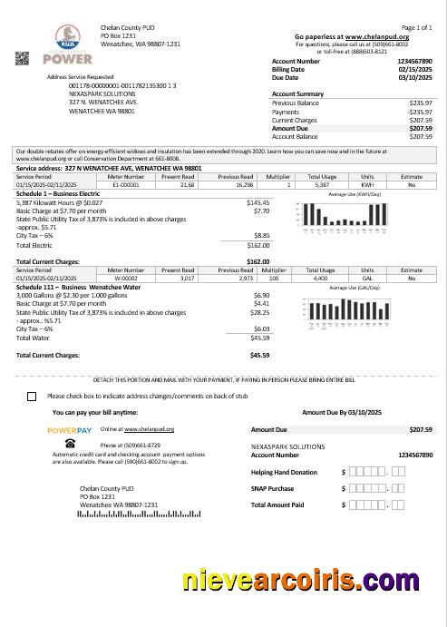 Realistic USA Washington Chelan County PUD Business Utility Bill Template In Word And PDF Formats