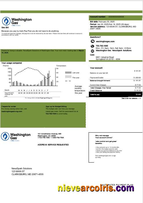 Premium USA Washington Gas (WGL) Business Utility Bill Template In Word And PDF Formats