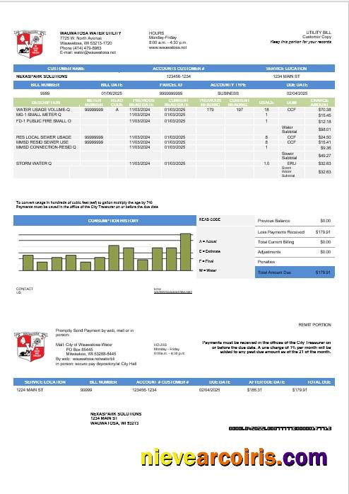 Premium USA Wawatosa Water Utility Business Utility Bill Template In Word And PDF Formats