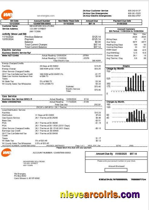 Premium USA We Business Utility Bill Template In Word And PDF Formats