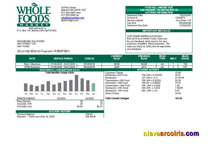 Premium USA Whole Foods Market Business Utility Bill Template In Word And PDF Formats