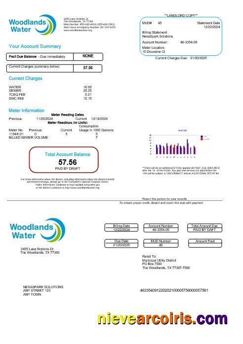 Premium USA Woodlands Water Business Utility Bill Word And PDF Template