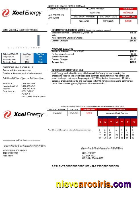 Premium USA Xcel Energy Business Utility Bill Word And PDF Template