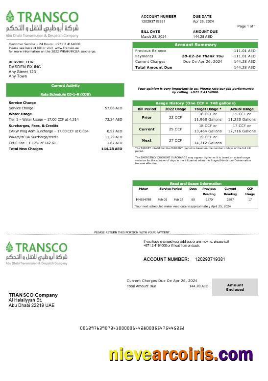 Premium United Arab Emirates Abu Dhabi Distribution Electricity Business Utility Bill Template In Word And PDF Formats