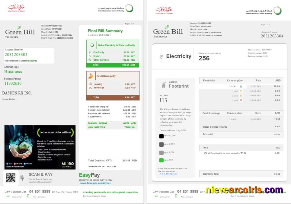 Premium United Arab Emirates Dubai Green Business Utility Bill Template In Word And PDF Formats, Fully Editable 1 2