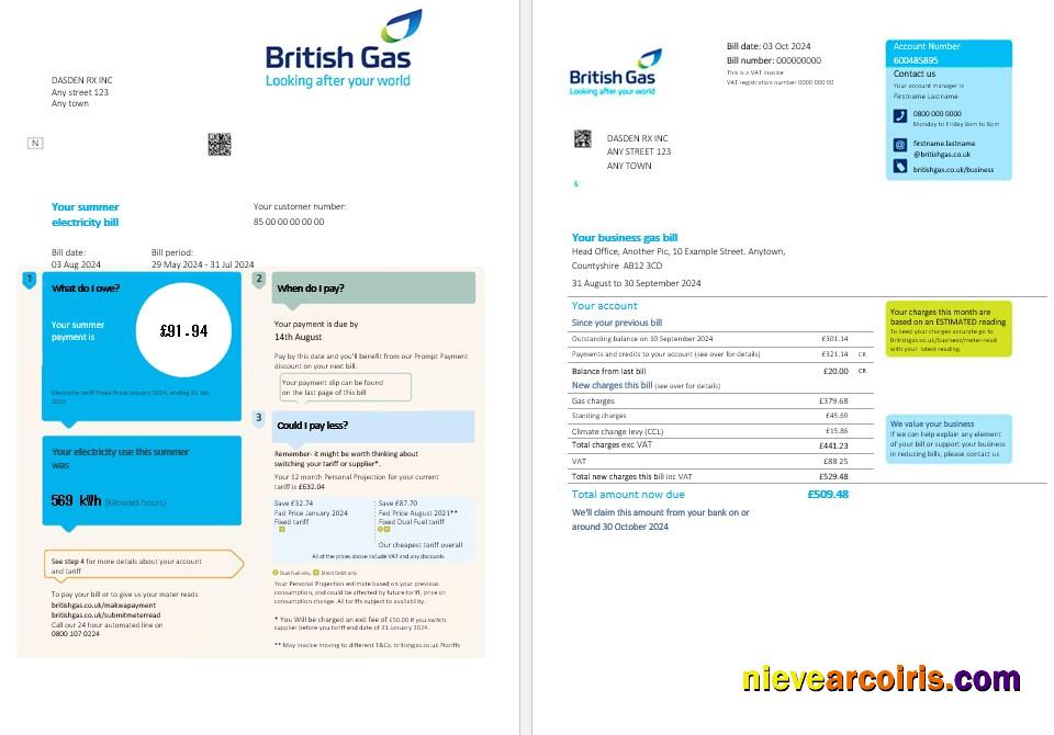 Premium United Kingdom British Gas Business Utility Bill PSD Template