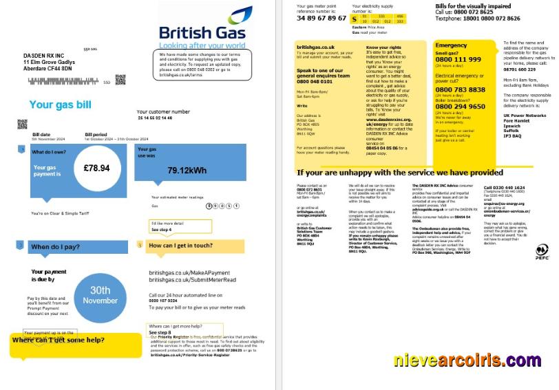 Editable United Kingdom British Gas Business Utility Bill Template In Word And PDF Formats Fully Editable (2 Pages) Version 1