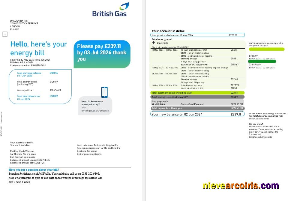 Professional United Kingdom British Gas Business Utility Bill, Word And PDF Template, 2 Pages
