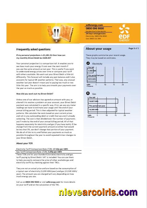 Professional United Kingdom EDF Business Utility Bill Template In Word And PDF Formats, 3 Pages 3