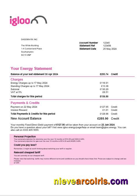 Professional United Kingdom Igloo Energy Business Utility Bill Template In Word And PDF Formats