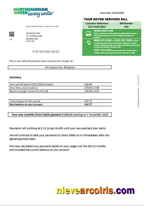 Editable United Kingdom Northumbrian Water Business Utility Bill Template In Word And PDF Formats, Version 1