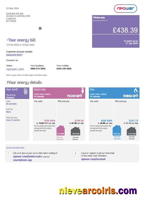 Editable United Kingdom Npower Business Utility Bill Template In Word And PDF Formats