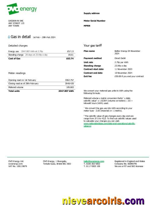 Premium United Kingdom Ovo Energy Business Utility Bill, Word And PDF Template