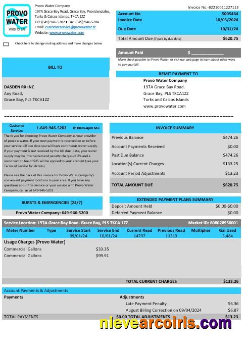Editable United Kingdom Turks And Caicos Islands Provo Water Company Business Utility Bill Word And PDF Template