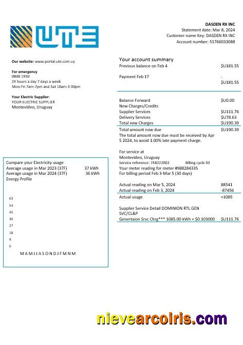 Professional Uruguay UTE Company Electricity Business Utility Bill Template In Word And PDF Formats