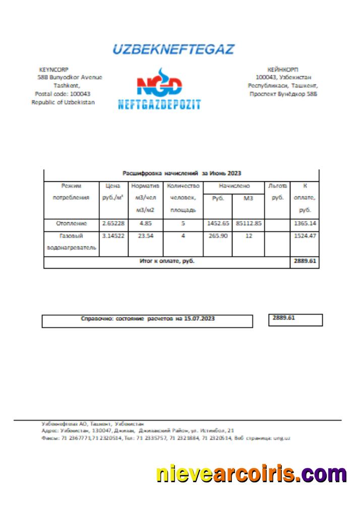 Uzbekneftegaz Utility Business Bill, SCR Photolook