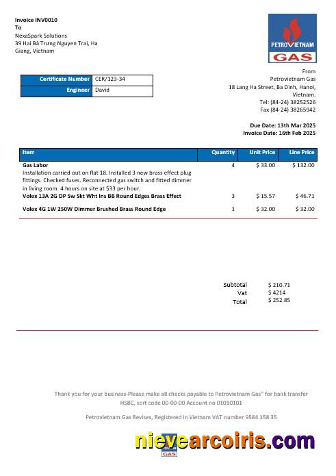Realistic Vietnam Petrovietnam Gas Business Utility Bill Template In Word And PDF Formats