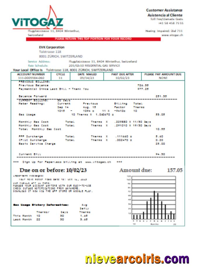 Vitogaz Switzerland AG Utility Business Bill SCR Preview