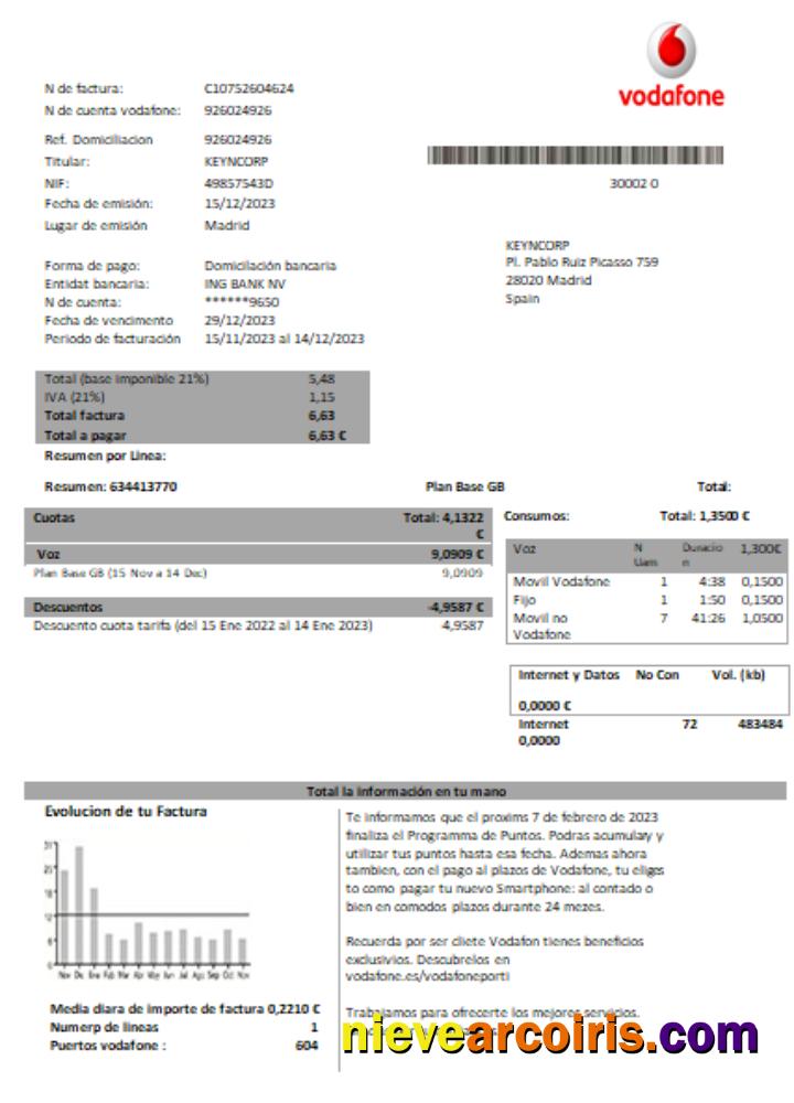 Premium Vodafone Telecommunications Utility Business Bill, Word And PDF Template SCR