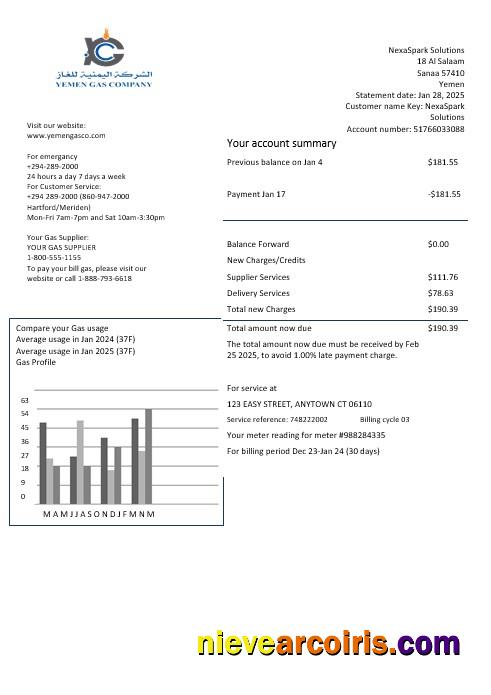 Professional Yemen Gas Company Business Utility Bill Template In Word And PDF Formats