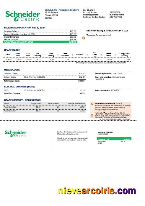 Editable Yemen Schneider Electric Business Utility Bill Template In Word And PDF Formats