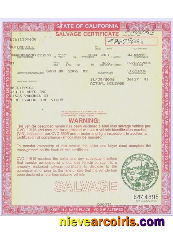 USA California Salvage Certificate Preview