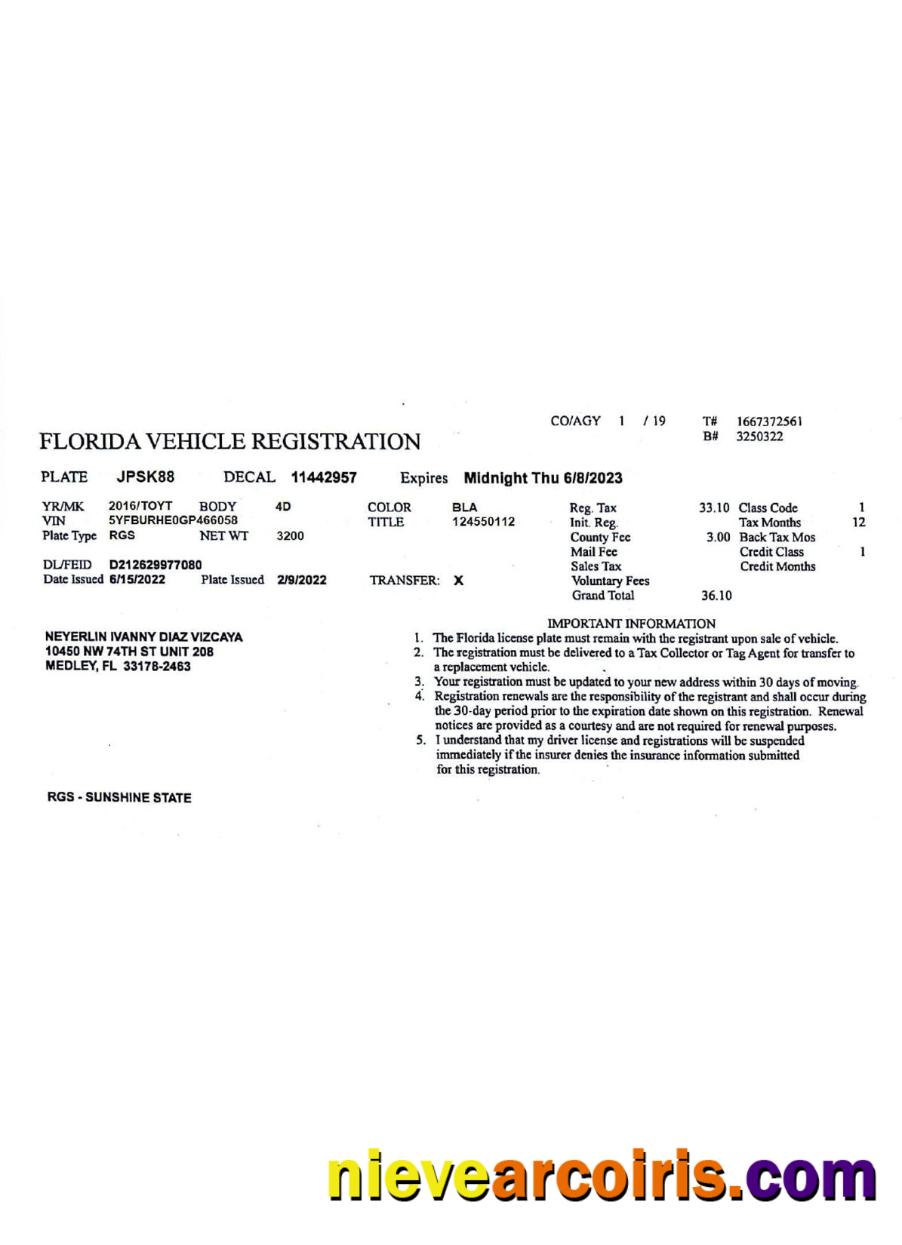 USA Florida Vehicle Registration License Template