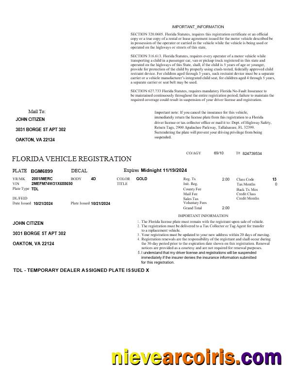 Realistic USA Florida Vehicle Registration Template In Word And PDF Formats