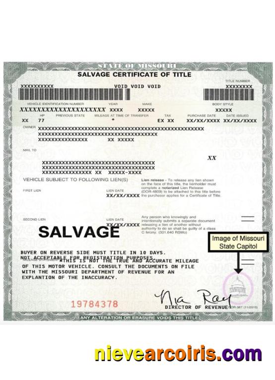 USA Missouri Salvage Certificate Of Title Template