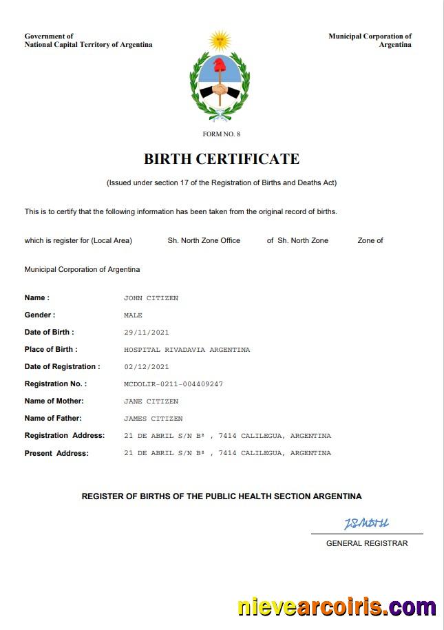 Professional Argentina Birth Certificate Word And PDF Template