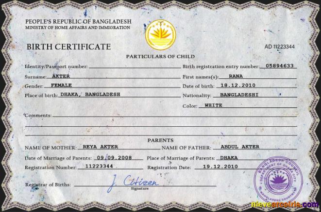 Premium Bangladesh Vital Record Birth Certificate PSD Template