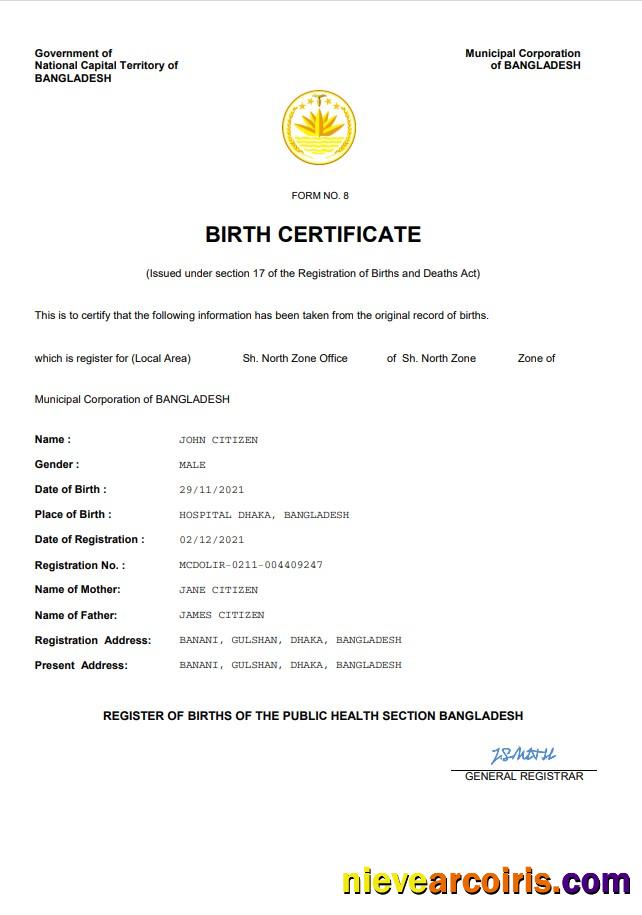 Professional Bangladesh Vital Record Birth Certificate Word And PDF Template