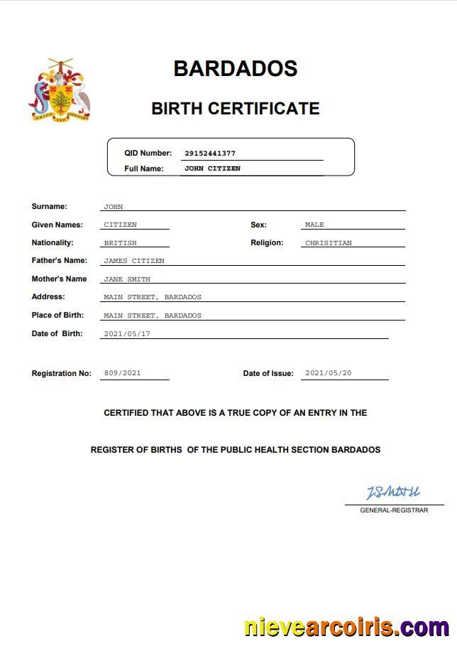 Realistic Barbados Birth Certificate Template In Word And PDF