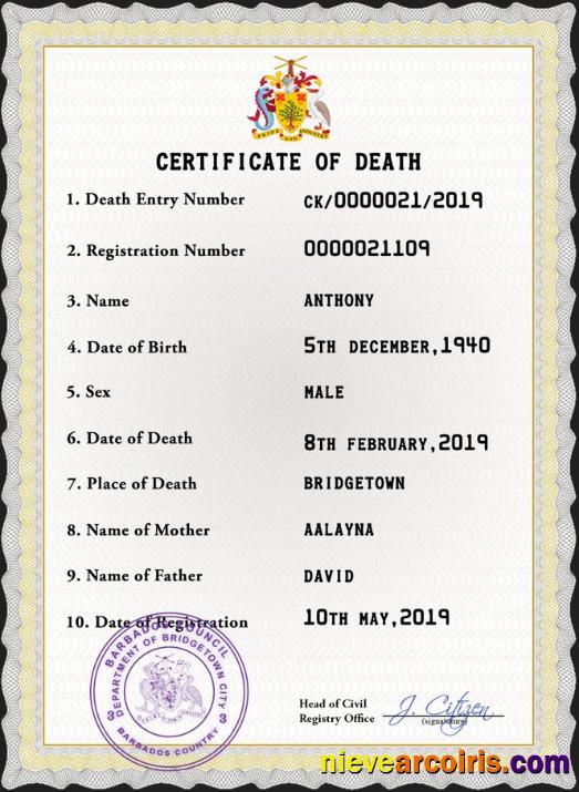 Realistic Barbados Death Certificate PSD Template