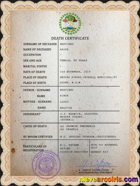 Professional Belize Death Certificate PSD Template