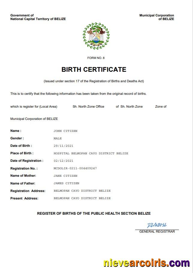 Realistic Belize Vital Record Birth Certificate Word And PDF Template